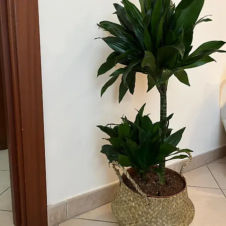 דירה Casa Lucia